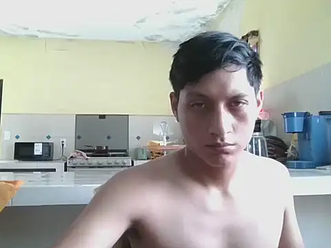 coppel webcam