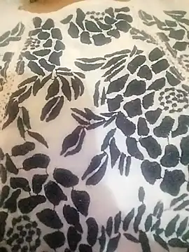 Ponds_beauty webcam