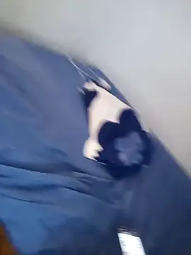 blondebitchlitle webcam