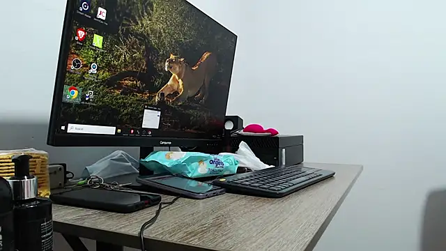 NahomyHawk webcam