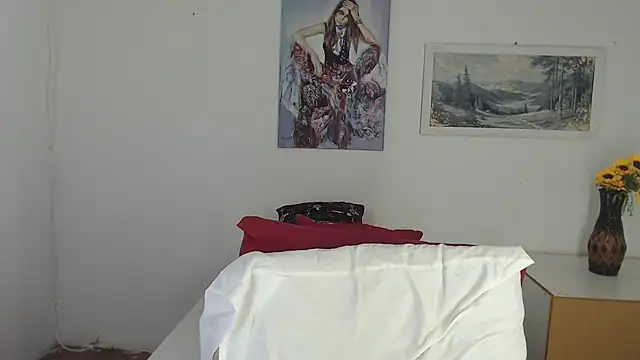 SATHIVA webcam
