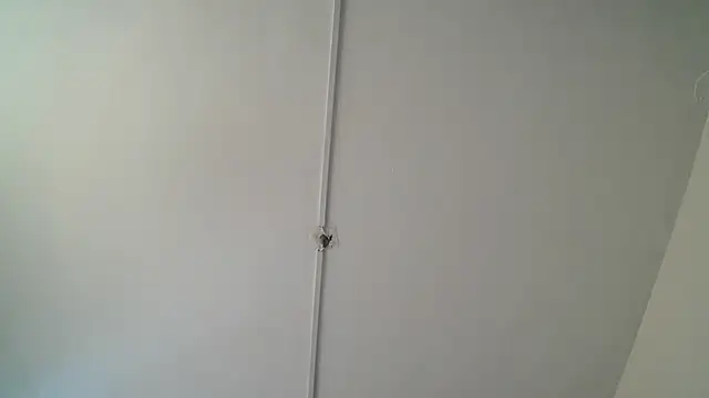 Beleaht_Pleasure webcam