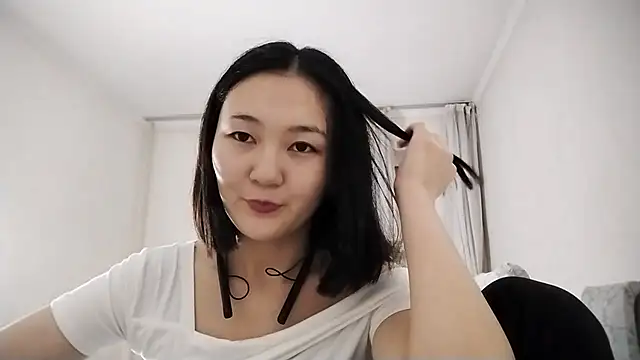 Lyndasilk webcam