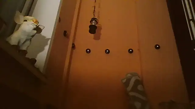 Couplemanxt1986 webcam