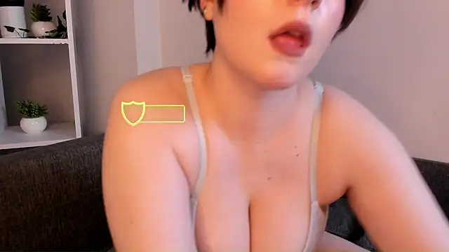 LynBrow webcam