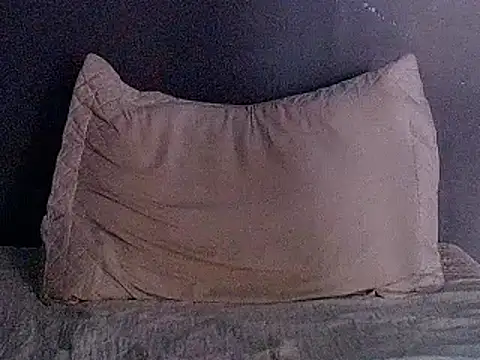 JackBlackone webcam