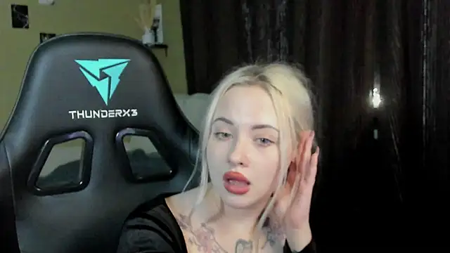 velunnight webcam