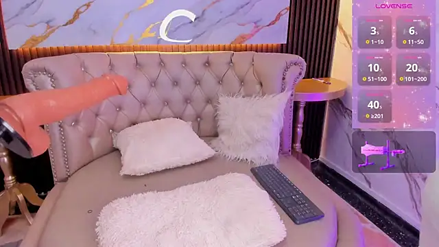 LITTLE_MIAA webcam