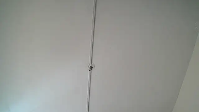 Beleaht_Pleasure webcam