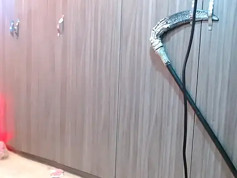 kassandra13 webcam