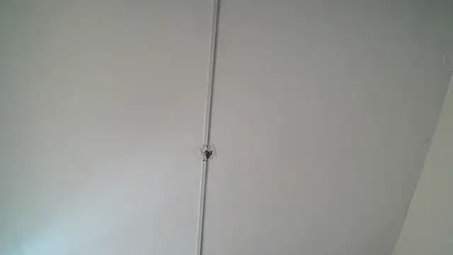 Beleaht_Pleasure webcam