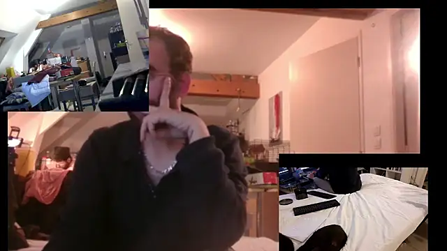 Mastersanges webcam