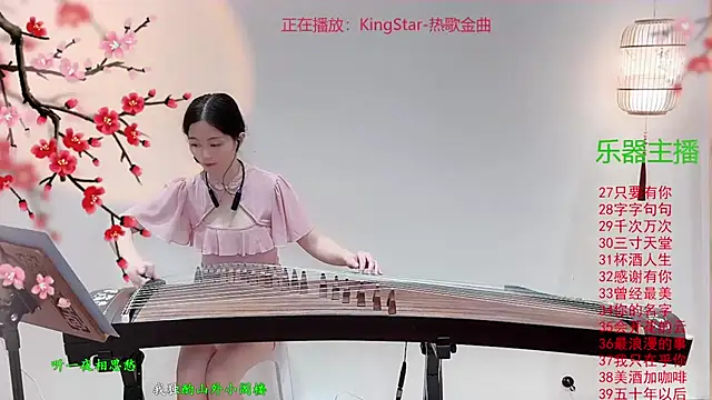 Tian-xin-999 webcam