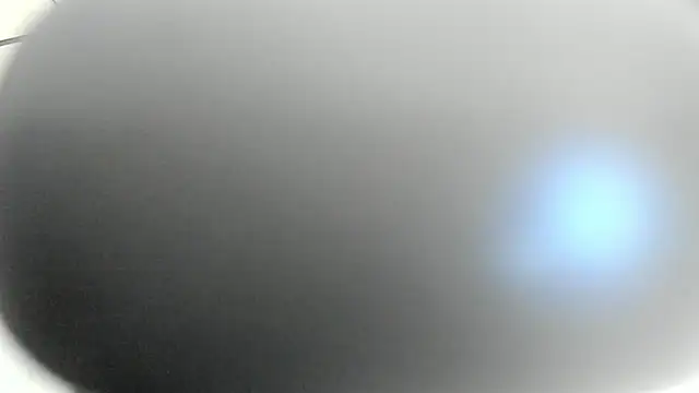 jhapsson_wong webcam