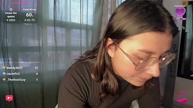 Noellesable webcam