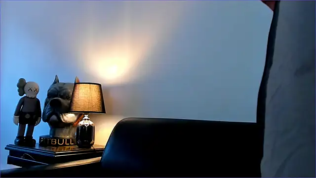 BradLeon_ webcam