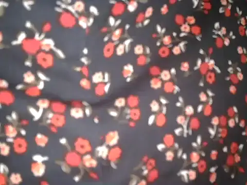 kissingcurvy webcam