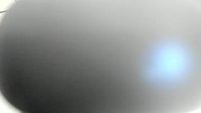 jhapsson_wong webcam