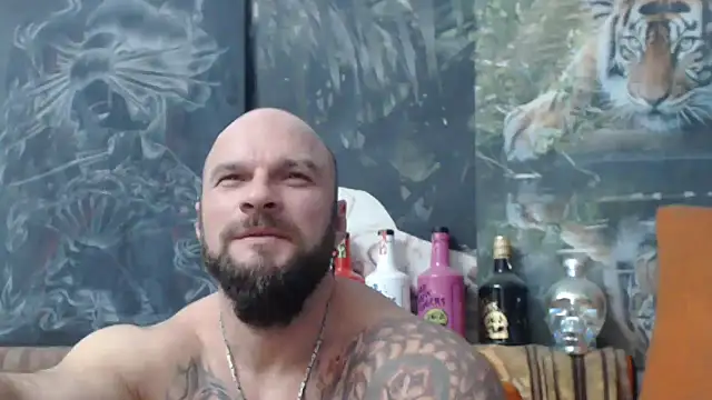 viking_30 webcam
