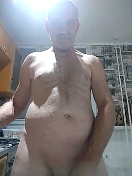 wilkalfa webcam