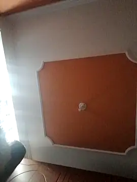 SCARLET-20 webcam