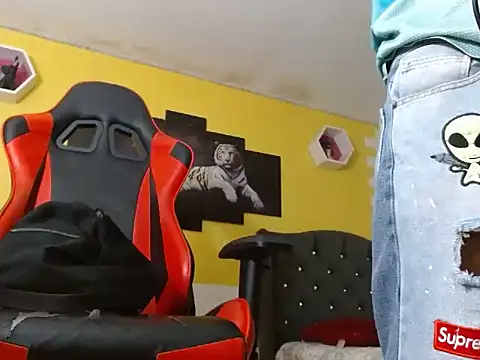 bull_cam webcam