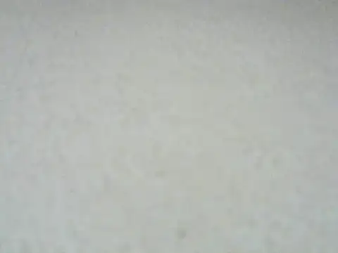 roadies webcam