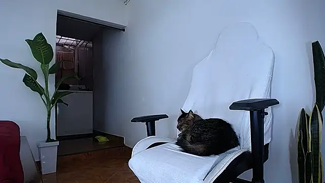 diamond_black00 webcam