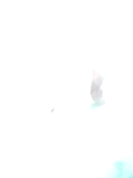 H_hiana webcam
