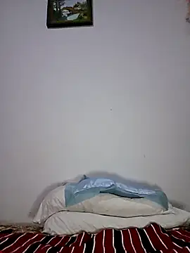 altinya webcam