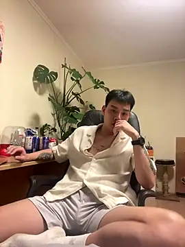 latava webcam