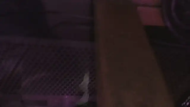Katieskake25 webcam