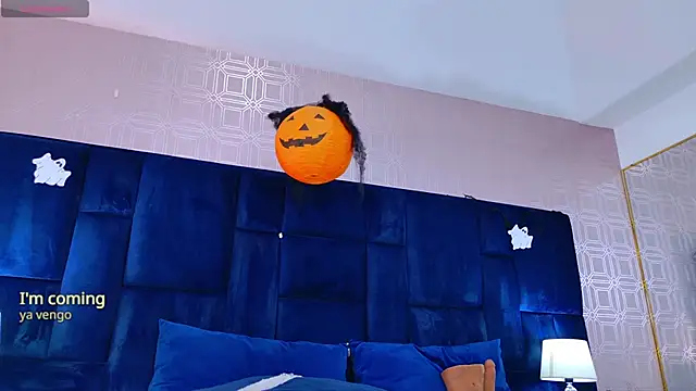 AnyLeonhard webcam