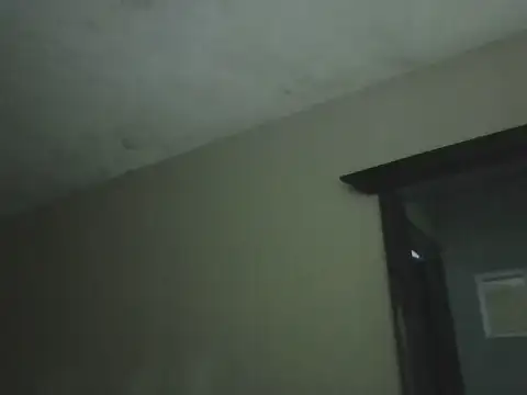 coppel webcam