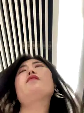 sunny-520