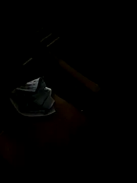 darkbluemoon webcam
