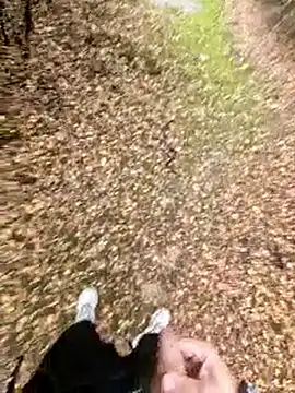 mrDEV1L