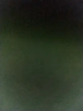 baldblondeshaven