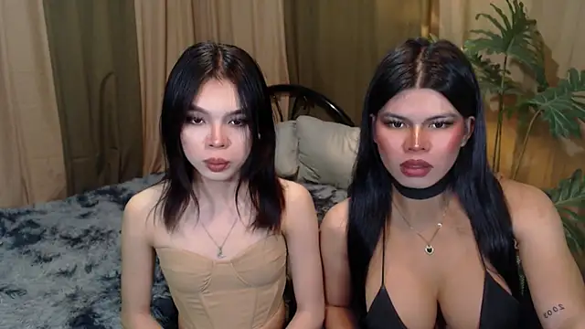 TWINKTRANSSHANEL
