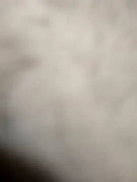 Curvy_Pounder