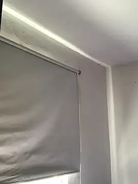 La-Gatiita-trans webcam