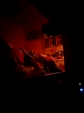 boy15cm1 - Boy15cm1's free webcam - UK Sex Cams