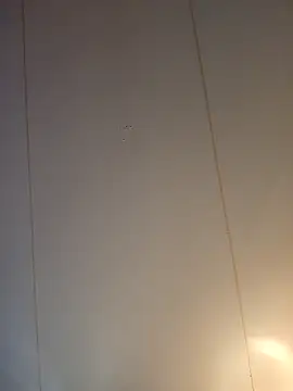 Bi_curious86 webcam