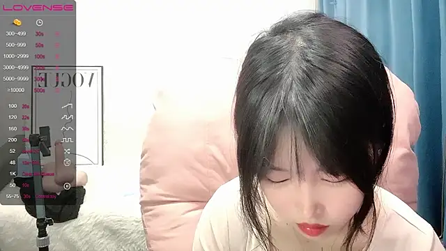 A_SR_002 webcam