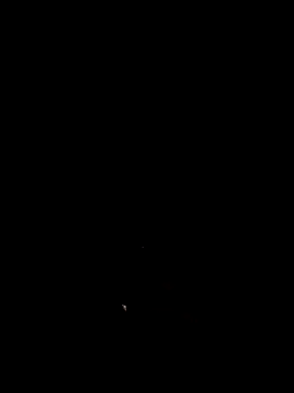moonflower25 webcam
