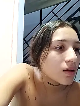 Arii_collins1 webcam