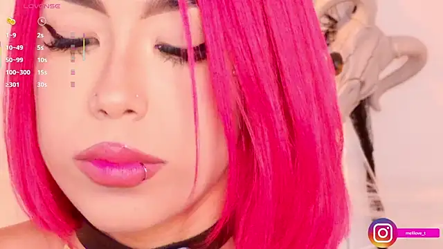 Mely-taylor webcam