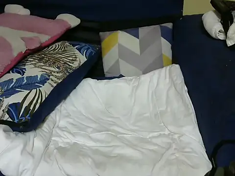 Thicky_ridder webcam