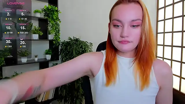 Ida_FaneStain webcam