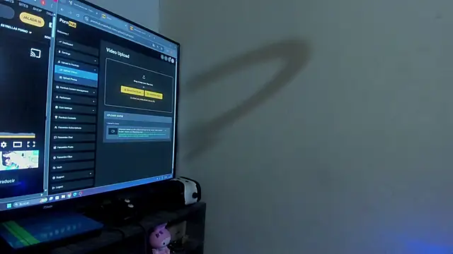 stepcouple_XXX webcam